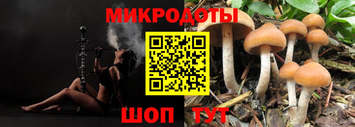 Каменск-Уральский  Псилоцибиновые грибы Psilocybe  Вход с VPN 